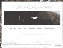 Tablet Screenshot of fernandalarrain.com